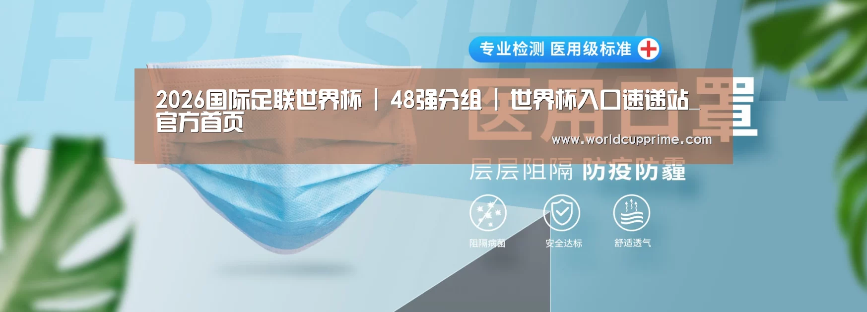 某某口罩防护用品有限公司