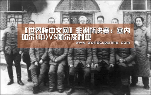 举办城市