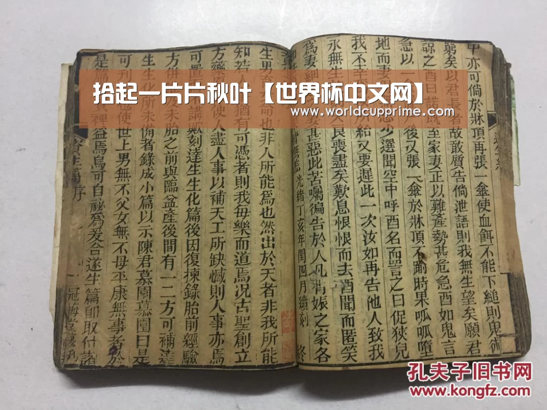 拾起一片片秋叶【世界杯中文网】