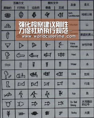 强化检察建议刚性 力促社矫执行规范-举办城市